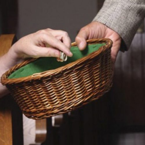 38458-colecta-web-796x448